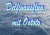 Oototo Delfinausflug - 1